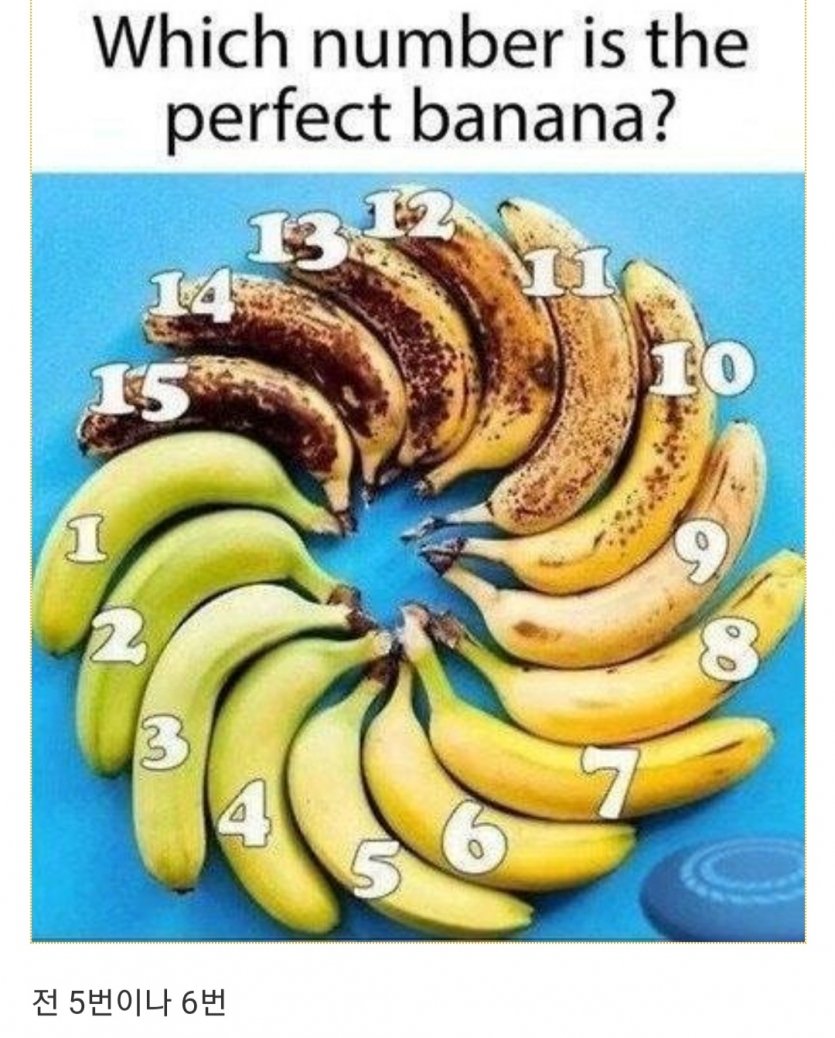 1453d65152393b567514b3e89c94b6c3_1748640512_6688.jpg