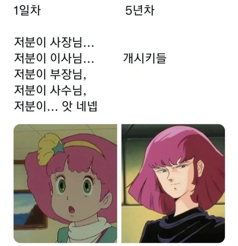 17446141394415.png
